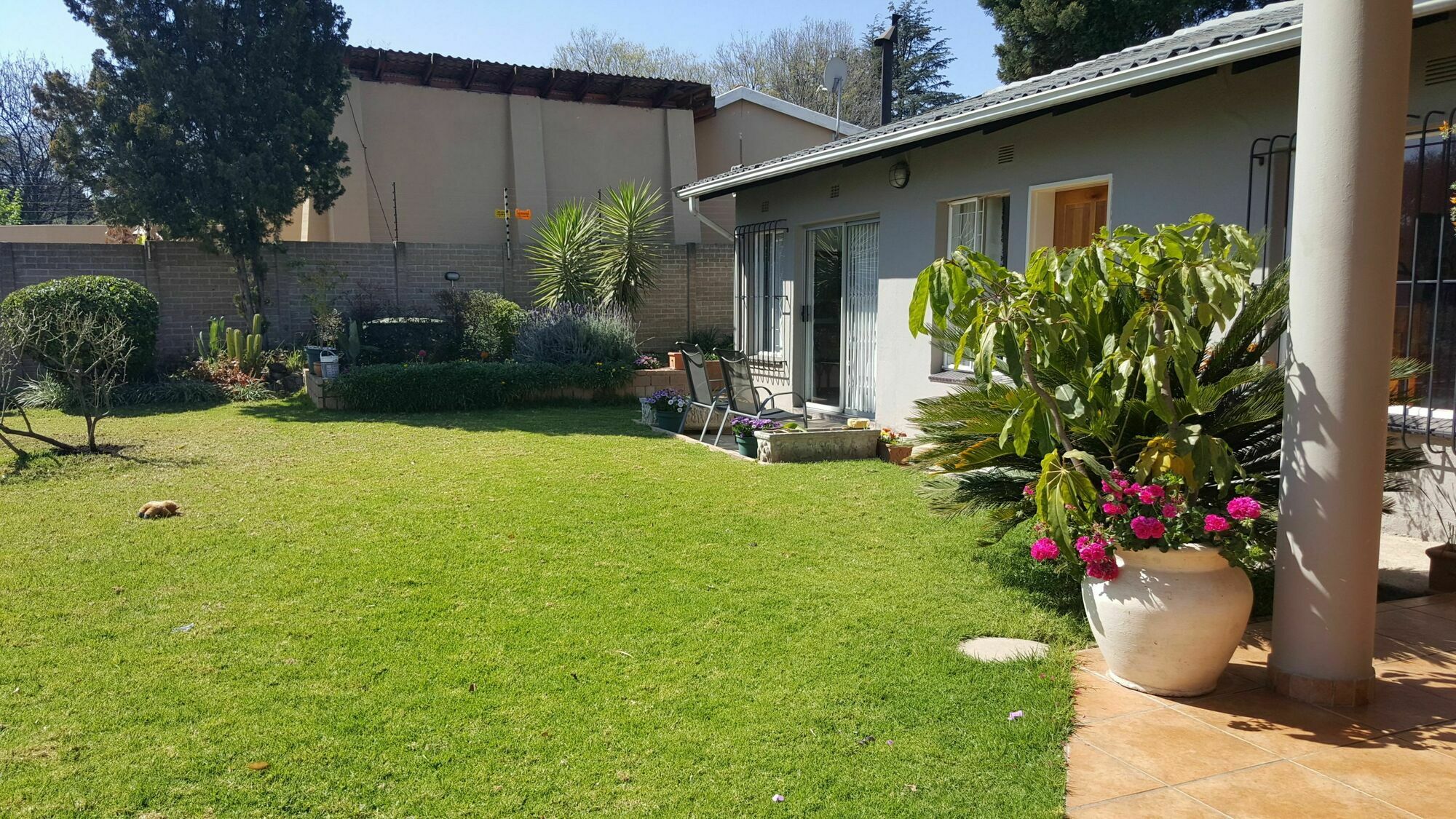 8 Ibis Lane Guest House Joanesburgo Exterior foto